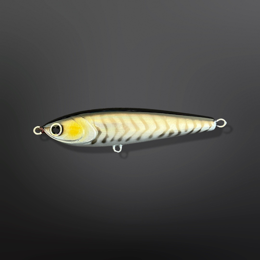 Salanitoga (Sinking)